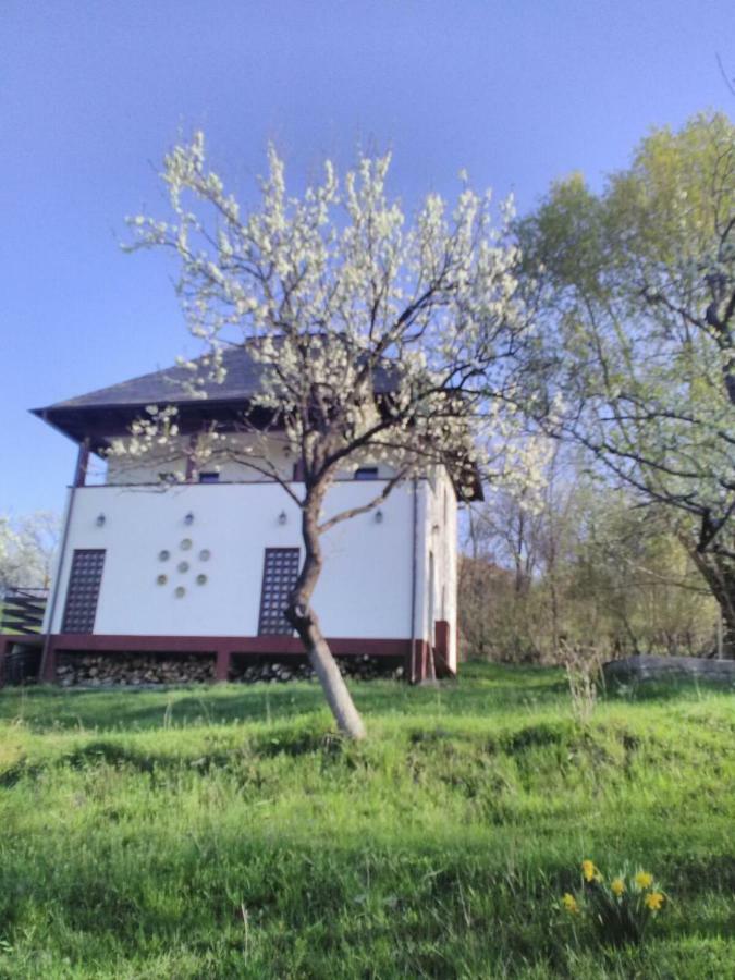 Cottage Poe Poienari Exterior foto