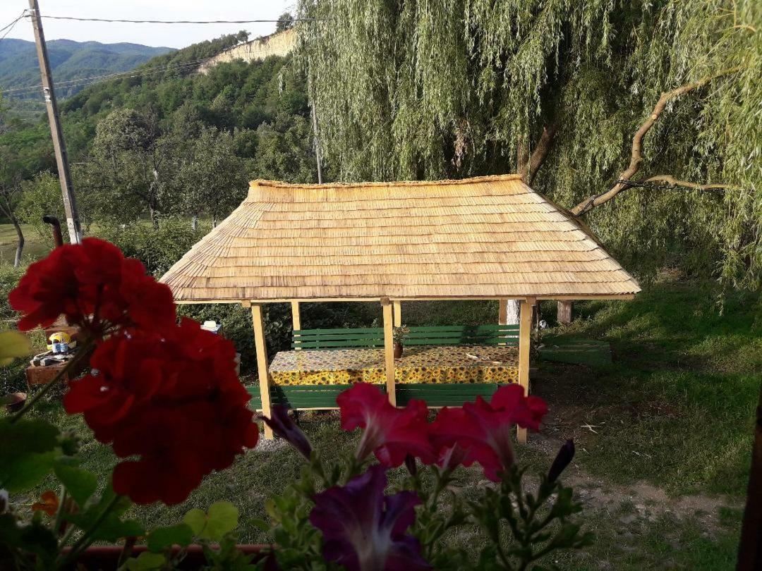 Cottage Poe Poienari Exterior foto